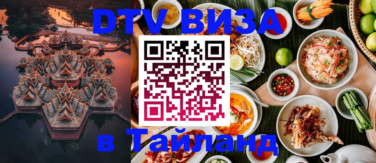 Оформление DTV визы под ключ: стоимость и тарифы, только загранпаспорт - Вологда  08.01.2026 